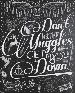 Don't-let-the-muggles